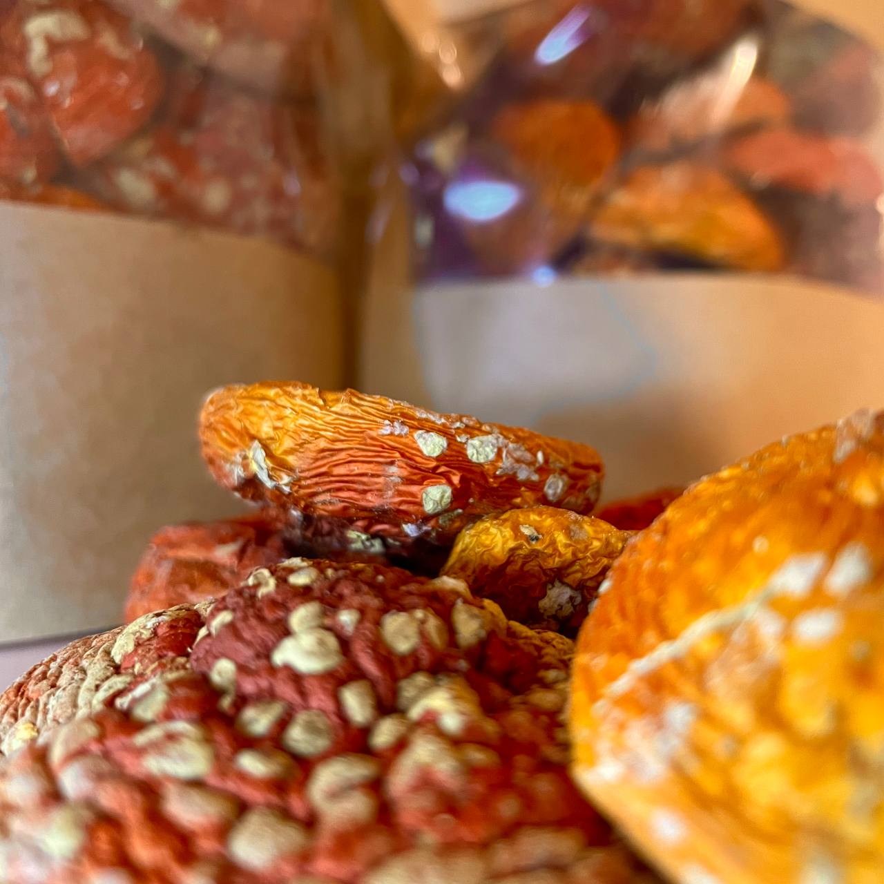 Dried Amanita Muscaria Premium